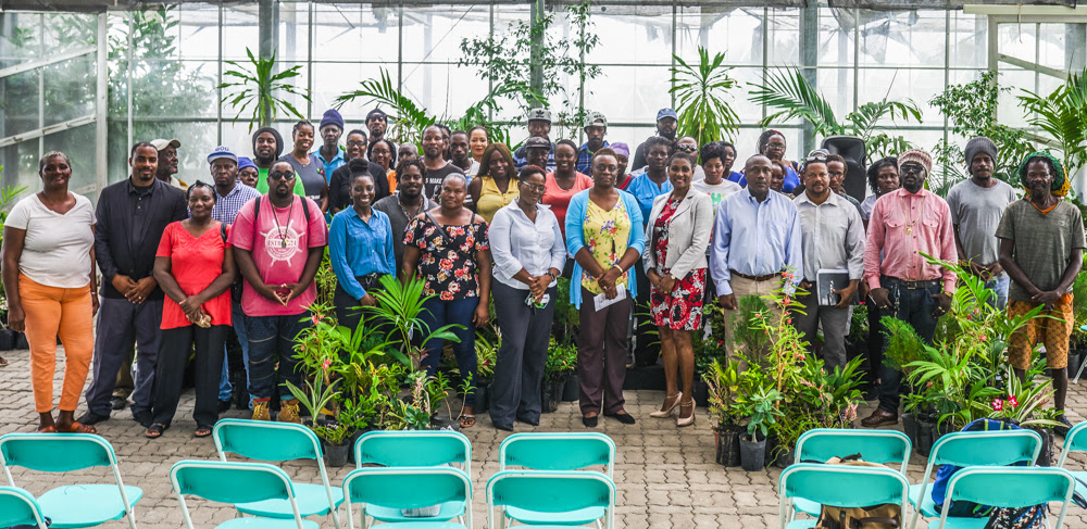 400 PLANTS HANDED OVER TO REGISTERED COMMUNITIES PARTICIPATING IN THE 2019 NATIONAL BEST VILLAGE COMPETITION