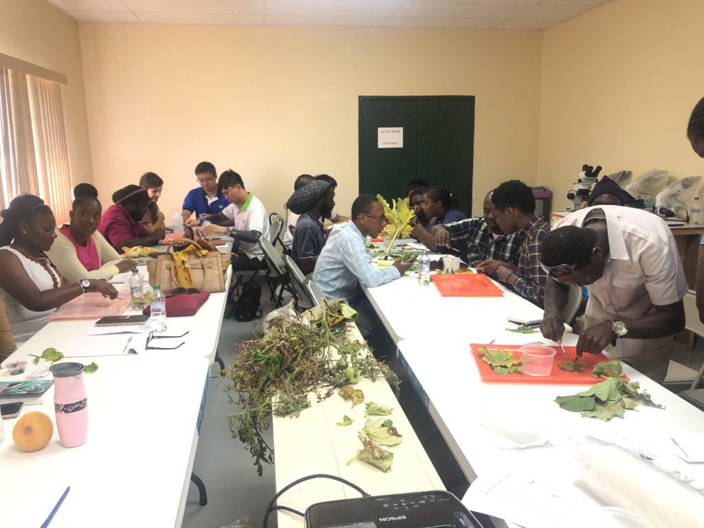 Department of Agriculture (National Plant Pathology Diagnostics Training)