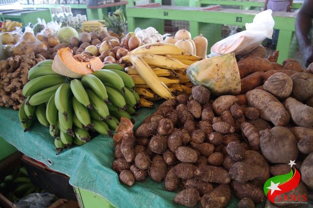 KEY RECOMMENDATIONS MADE BY INTER-MINISTERIAL COMMITTEE ON STREET VENDING WILL MAKE BUSINESS EASIER – CHAIR AUSTIN FARIER