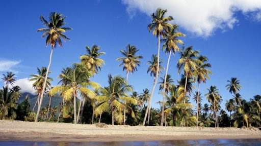 UK Journalist Reviews Her Stay on the Island of Nevis for Leading Media Outlet News journalist shares her Nevisian experience with its readers