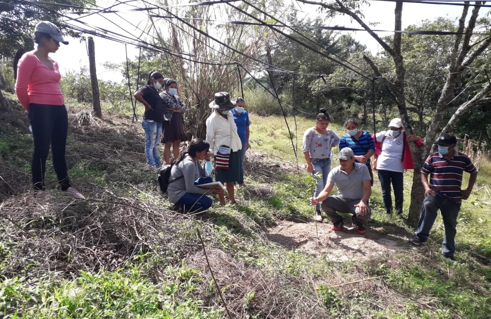 Over 2,000 family farmers from eight countries strengthen their adaptive capacity to climate change with the support of IFAD and IICA